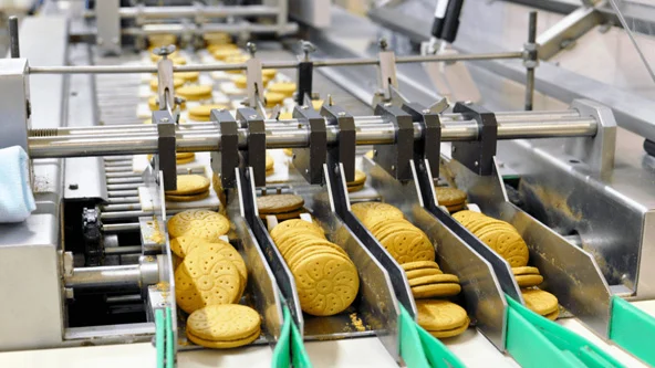 Food Processing